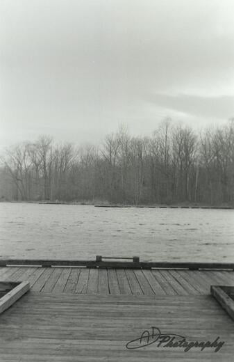 Dock at Veterans Park