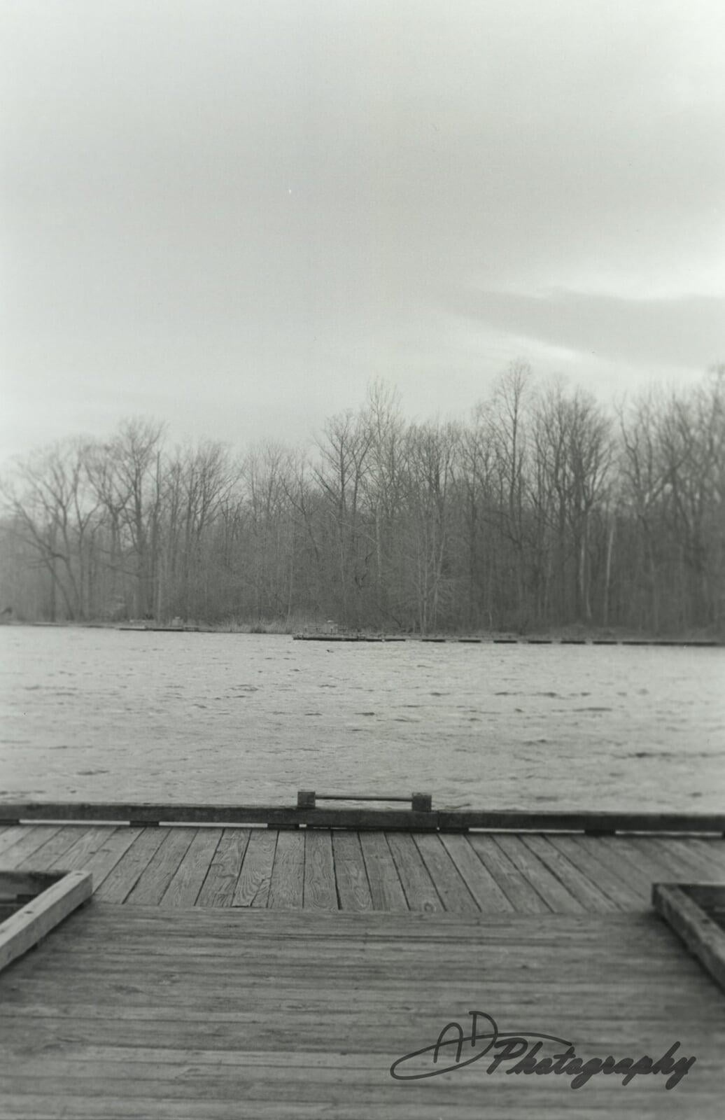 Dock at Veterans Park