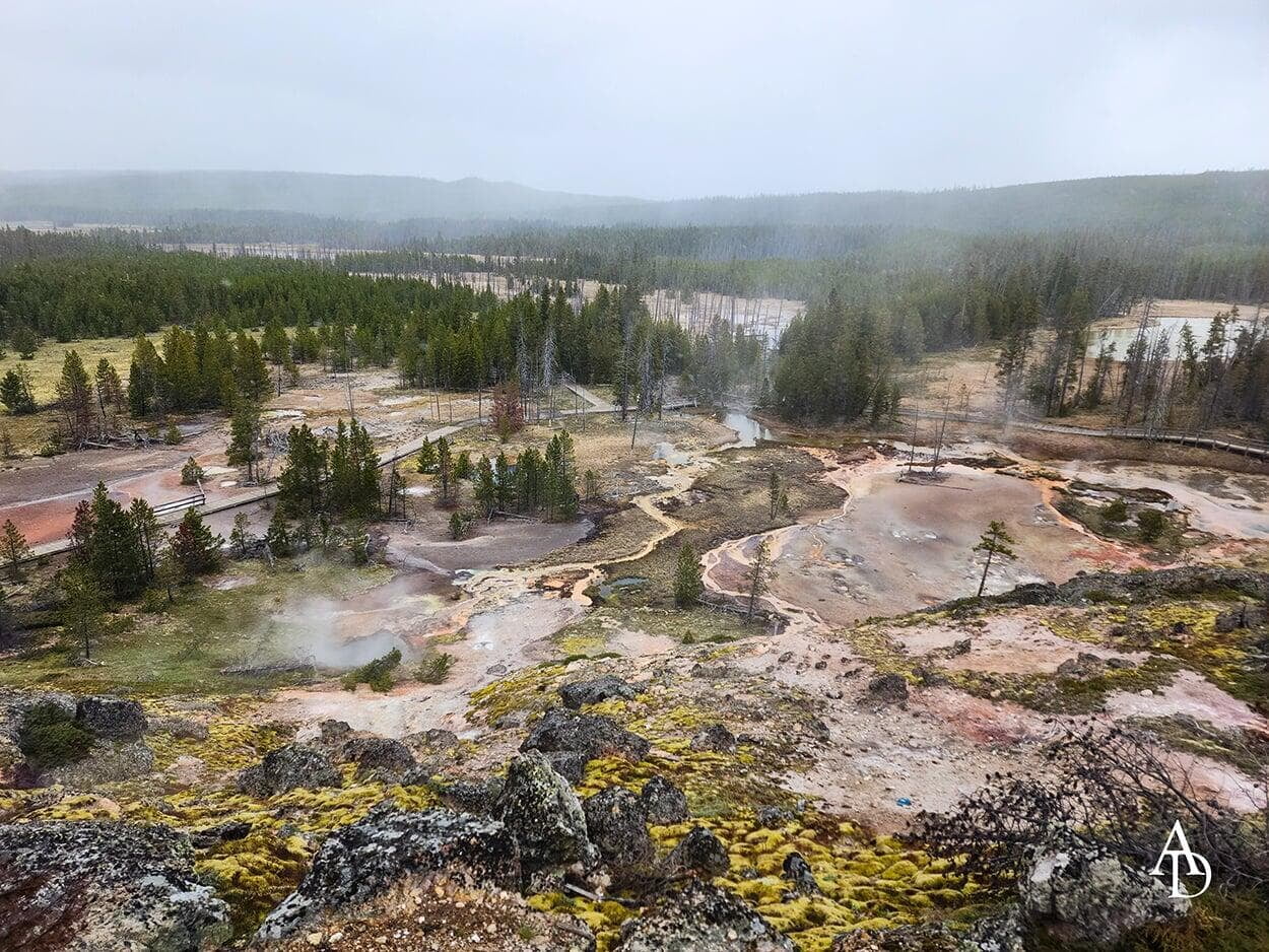 Yellowstone National Park 1