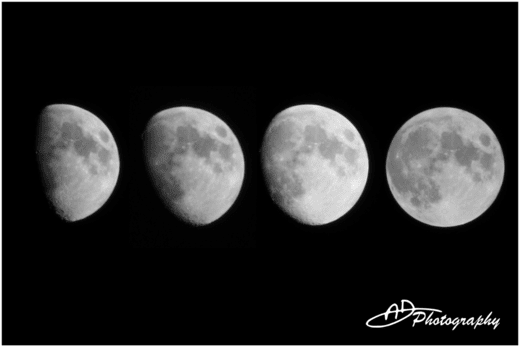 Phases of the Moon