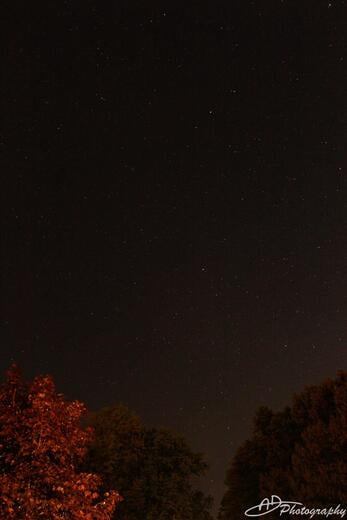 Night Sky - 16