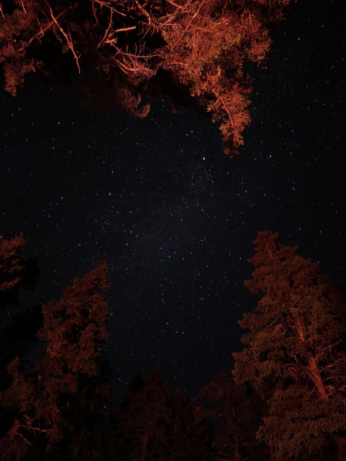 Night Sky over Acadia2026-2