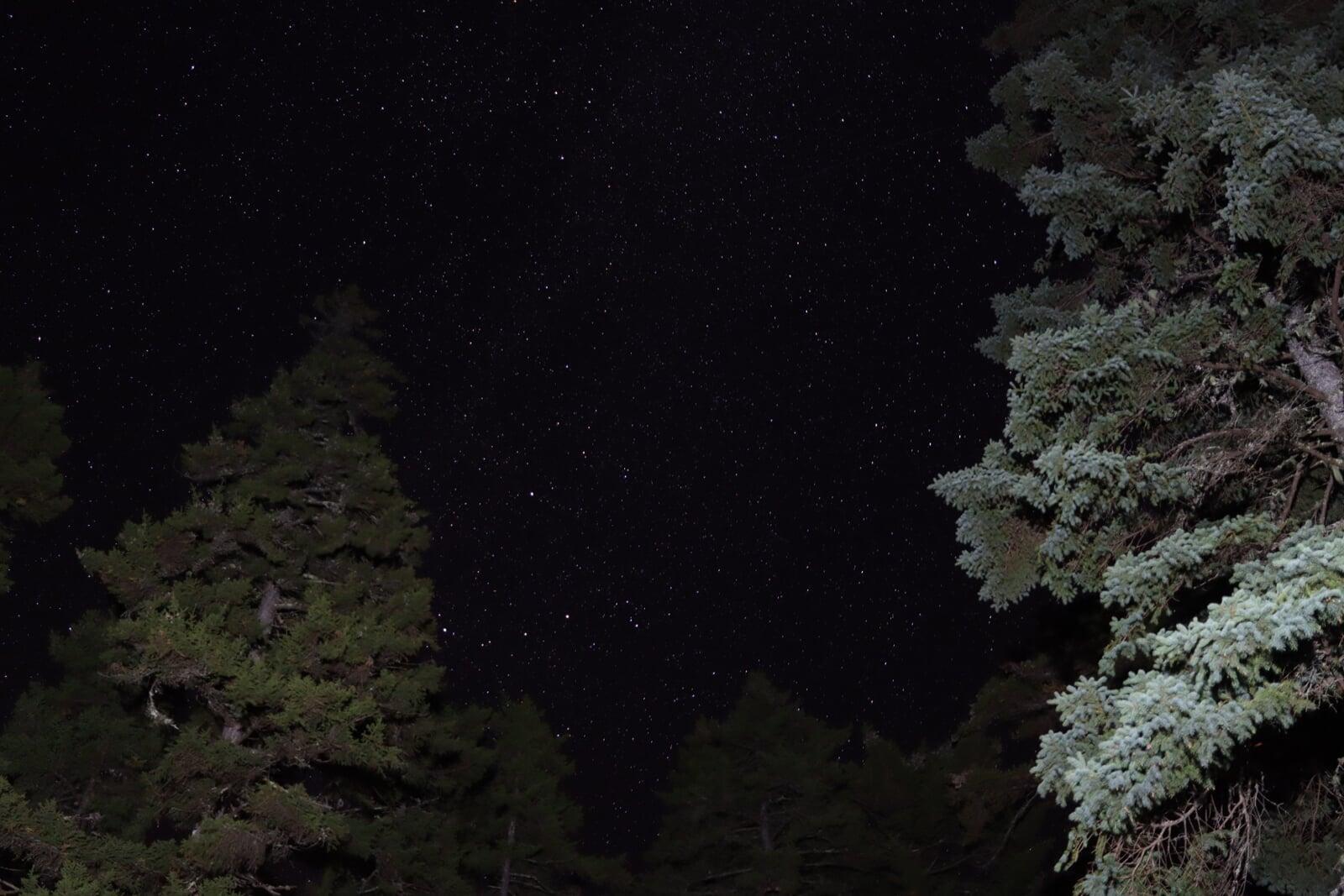Night Sky over Acadia 2026-1
